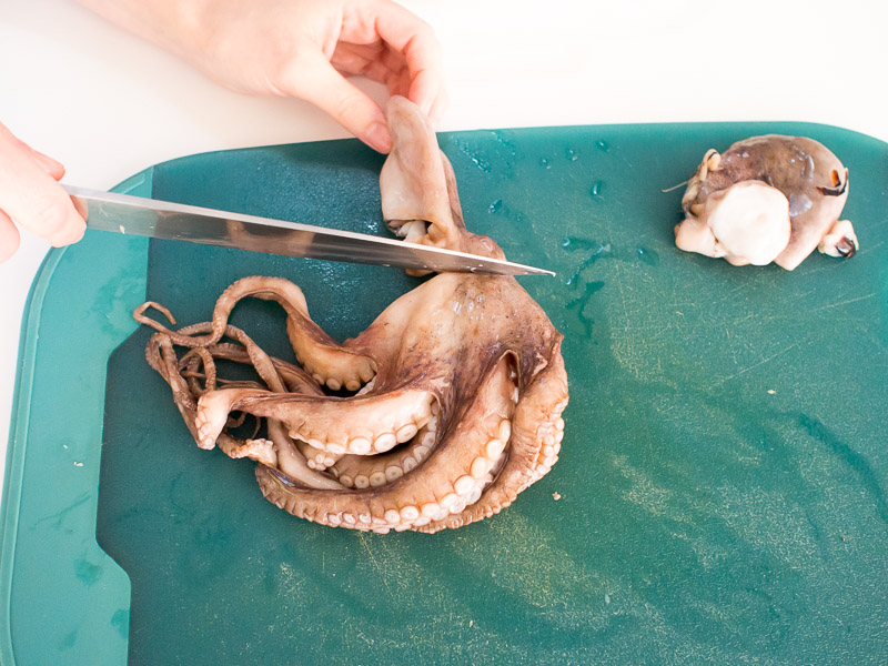 cutting heads from octopi
