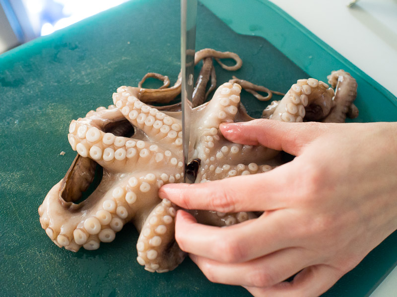 cutting beaks from octopi