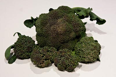 CSA Broccoli