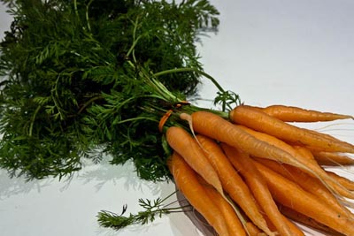 beautiful CSA carrots
