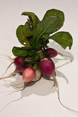 CSA radishes