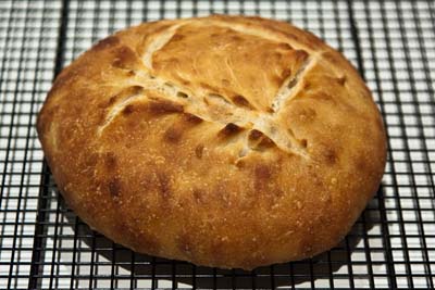 baked sourdough