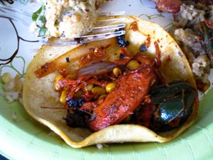potluck taco from mando