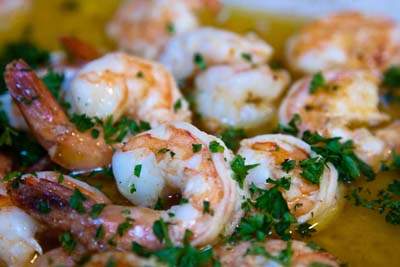 shrimp scampi