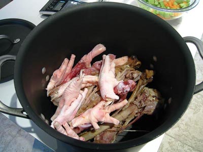 variety of poultry bones and feet