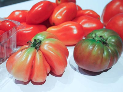 tomatoes: paste, slicing, cherry, and heirloom