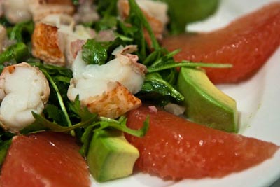 lobster, grapefruit, avocado salad